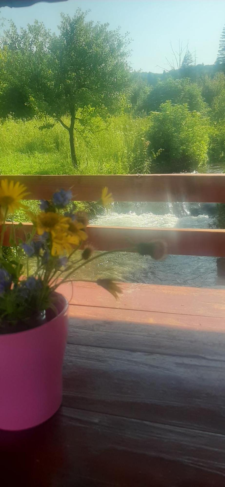 Guest House Mila Plitvicki Ljeskovac Екстер'єр фото