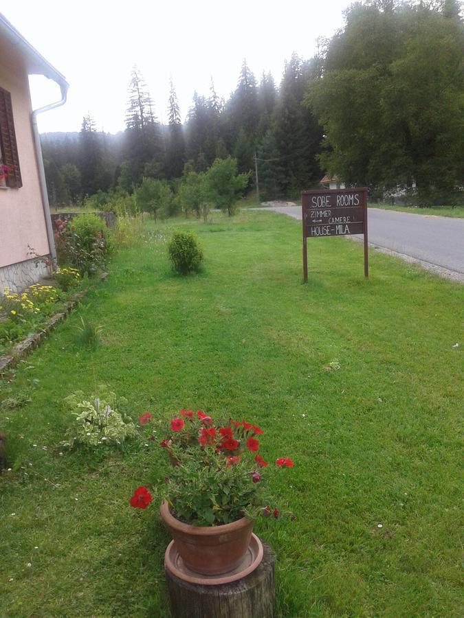 Guest House Mila Plitvicki Ljeskovac Екстер'єр фото